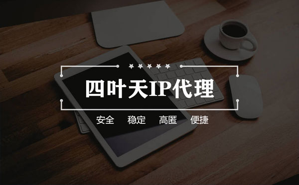 【寿光代理IP】如何快速搭建代理IP？怎么检查代理的效果？